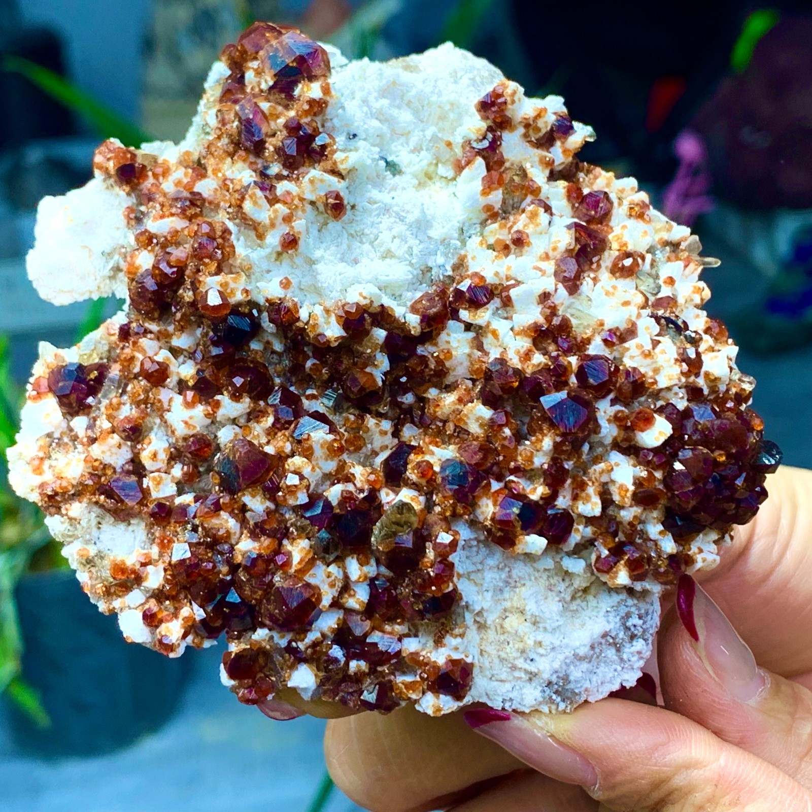 205G Natural Garnet with rock Gorgeous rough raw Crystal Mineral Specimen D32