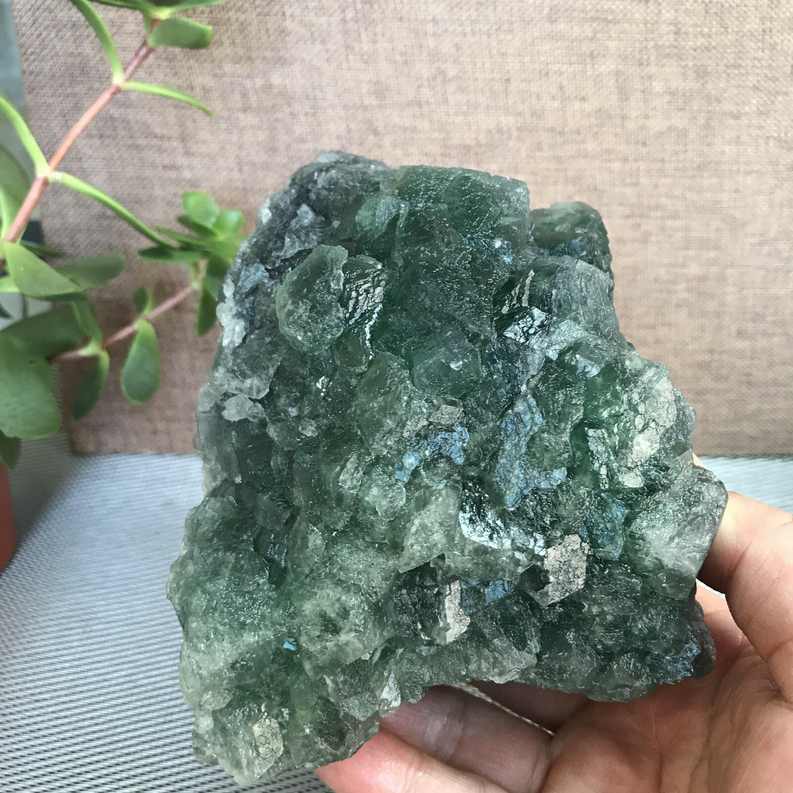 143mm NATURAL Green Cubic FLUORITE Crystal Cluster Mineral Specimen 1.58kg A1279