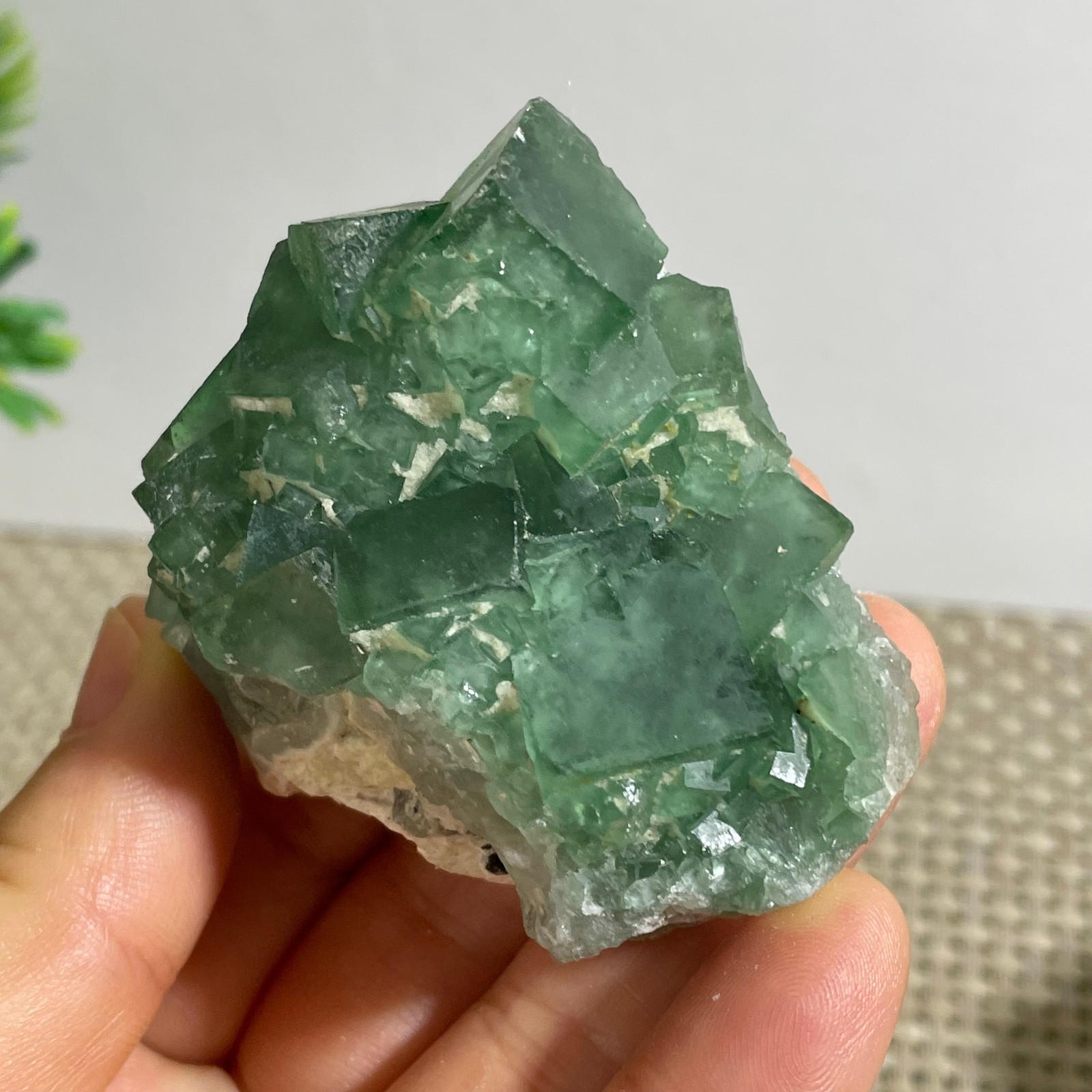 114g NATURAL Green Cube FLUORITE Quartz Crystal Cluster Mineral Specimen