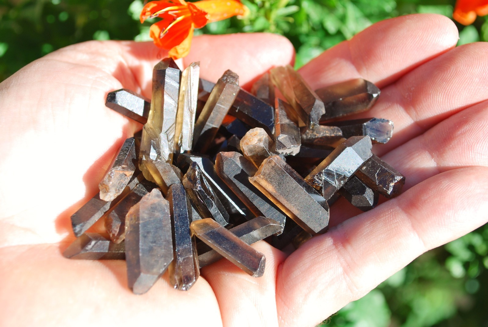 Charged Smokey Quartz Crystal Pendant EMF Protection 20″ Stainless Steel Chain