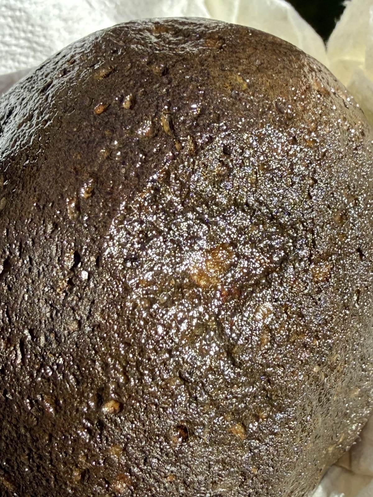 NATURAL SPHERICAL RHYOLITE OR SANDSTONE? CONGLOMERATE ROUND SPHERE STONE ROCK CA