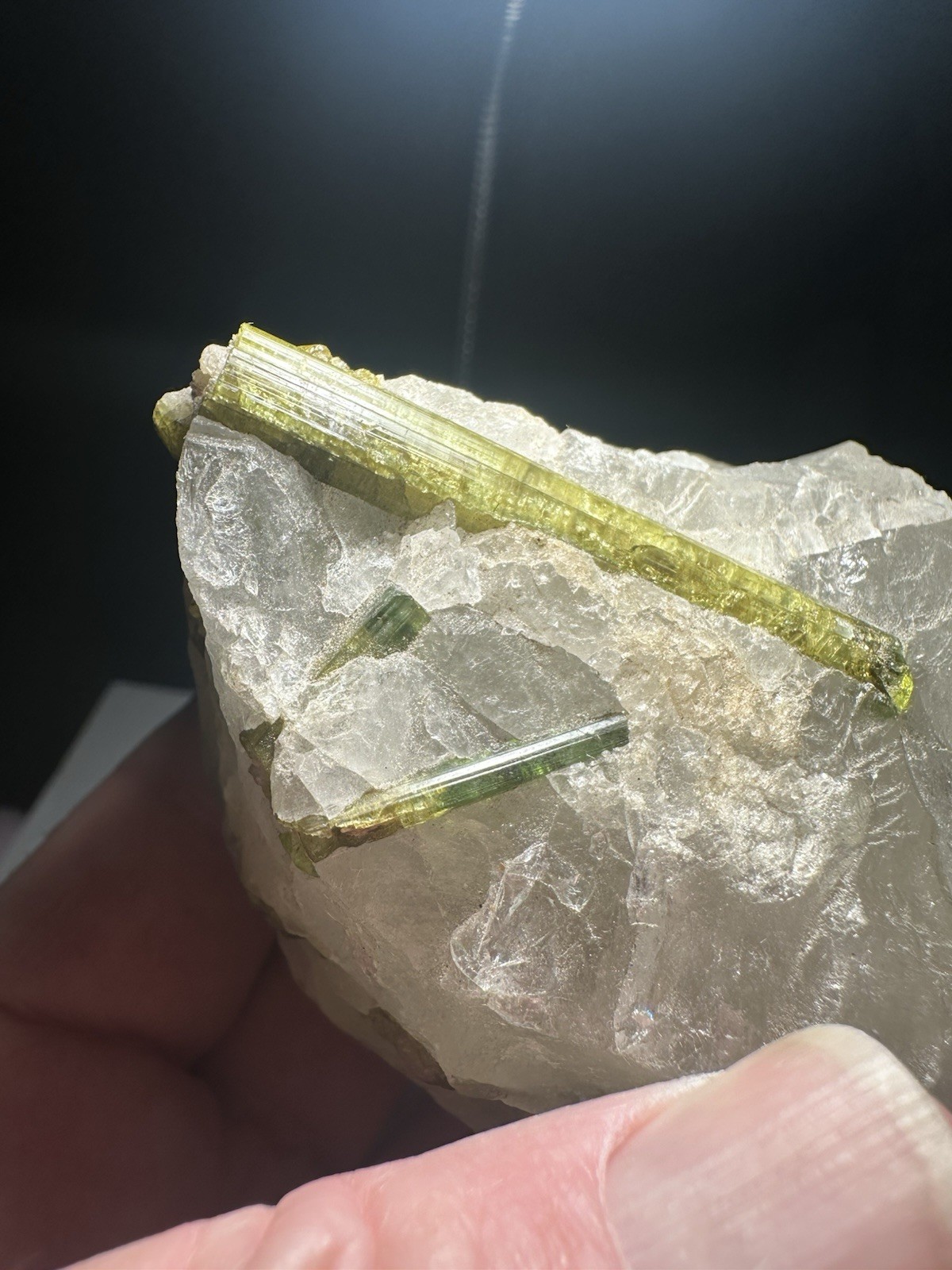 9oz 258 Grams Natural Bicolor 2″+ Green Tourmaline Crystals in Quartz Matrix!