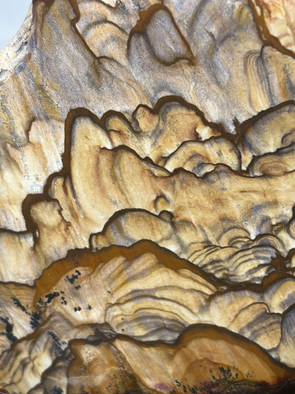 Rare Blue Biggs Picture Jasper Faced Polished Specimen AAA Quality Mountains
