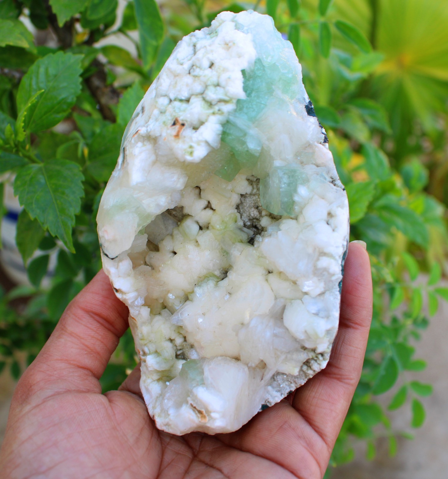 GREEN APOPHYLLITE CRYSTALS w/ HEULANDITE IN GEODE MINERALS SPECIMEN #A43