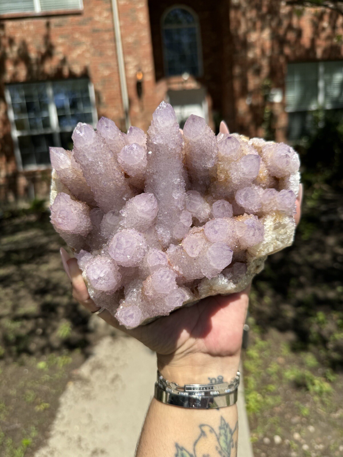 High Grade XXL (5.7lbs) Long Finger Deep Lavender Spirit Cactus Quartz cluster