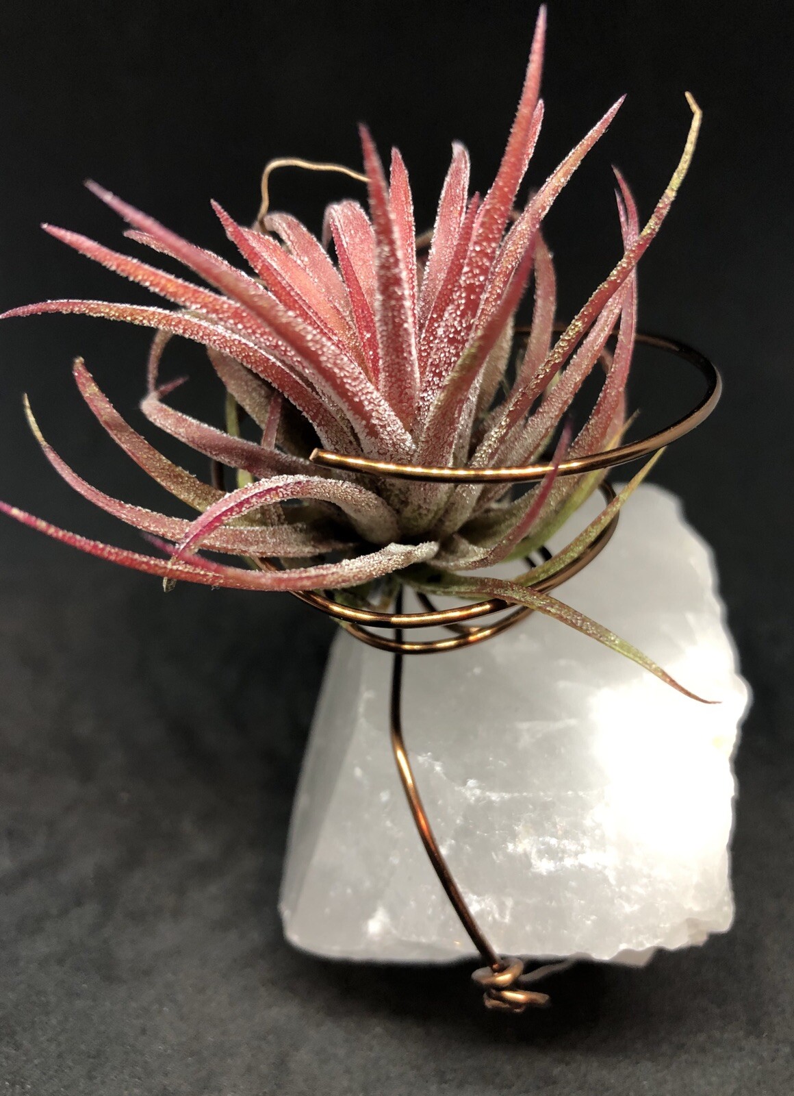 Quartz Crystal Air Planter, 240g, Reiki, Air Purifying Plant