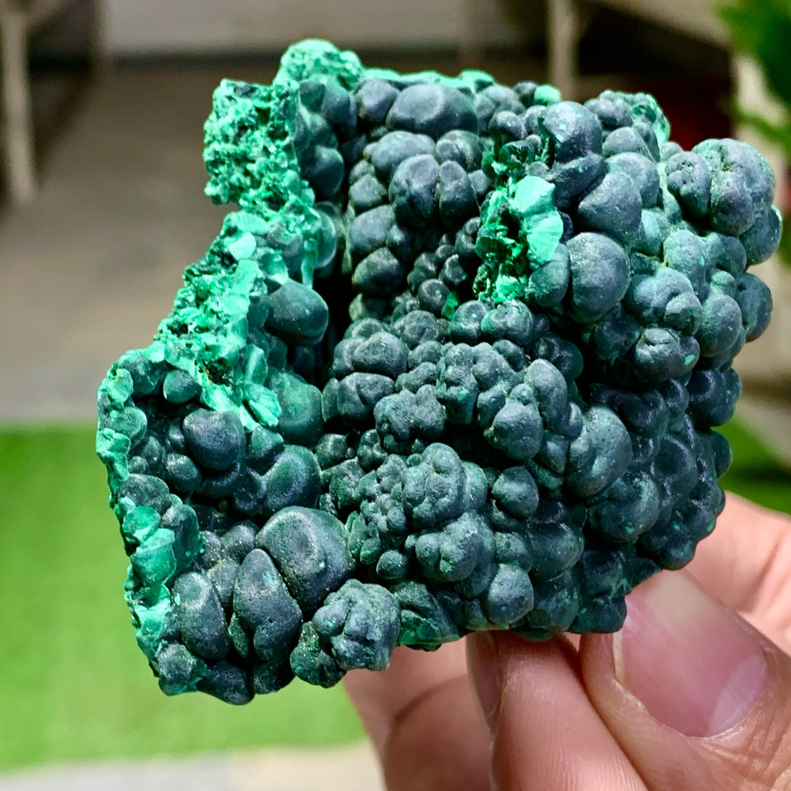 205G Natural glossy malachite cat eye transparent cluster rough mineral Sample