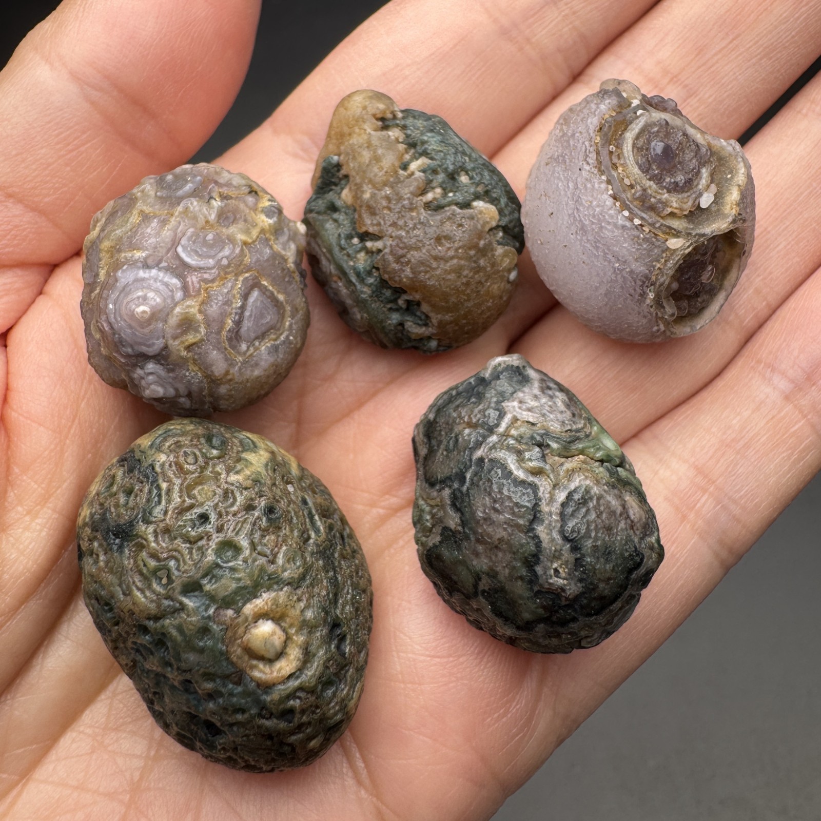 5 pieces Raw Alxa Gobi Relief Eye Agate Set, Mongolia #406