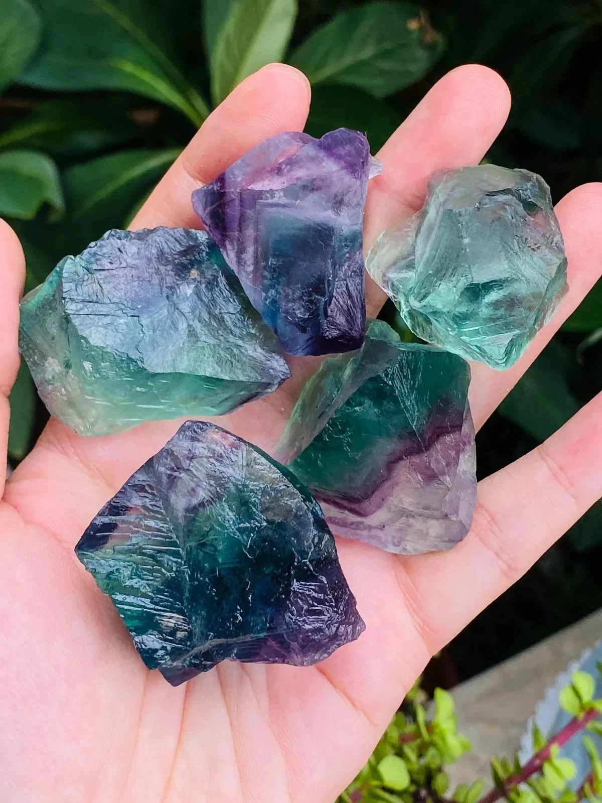 3PCS Raw Rainbow Fluorite Chunks Healing Rough Crystal Mineral Rocks Specimens