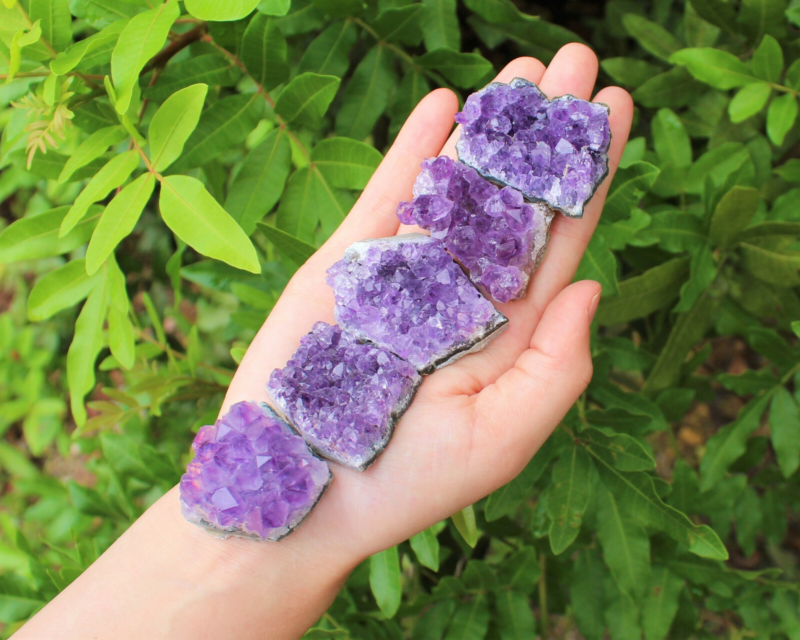 Amethyst Geode Druzy Crystal Quartz Cluster Natural Specimen: You Choose Size!