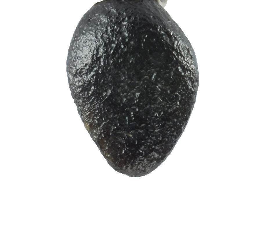 Australite Tektite, Sandpit nr Port Campbell. Victoria Australia (EA10445) Boxed