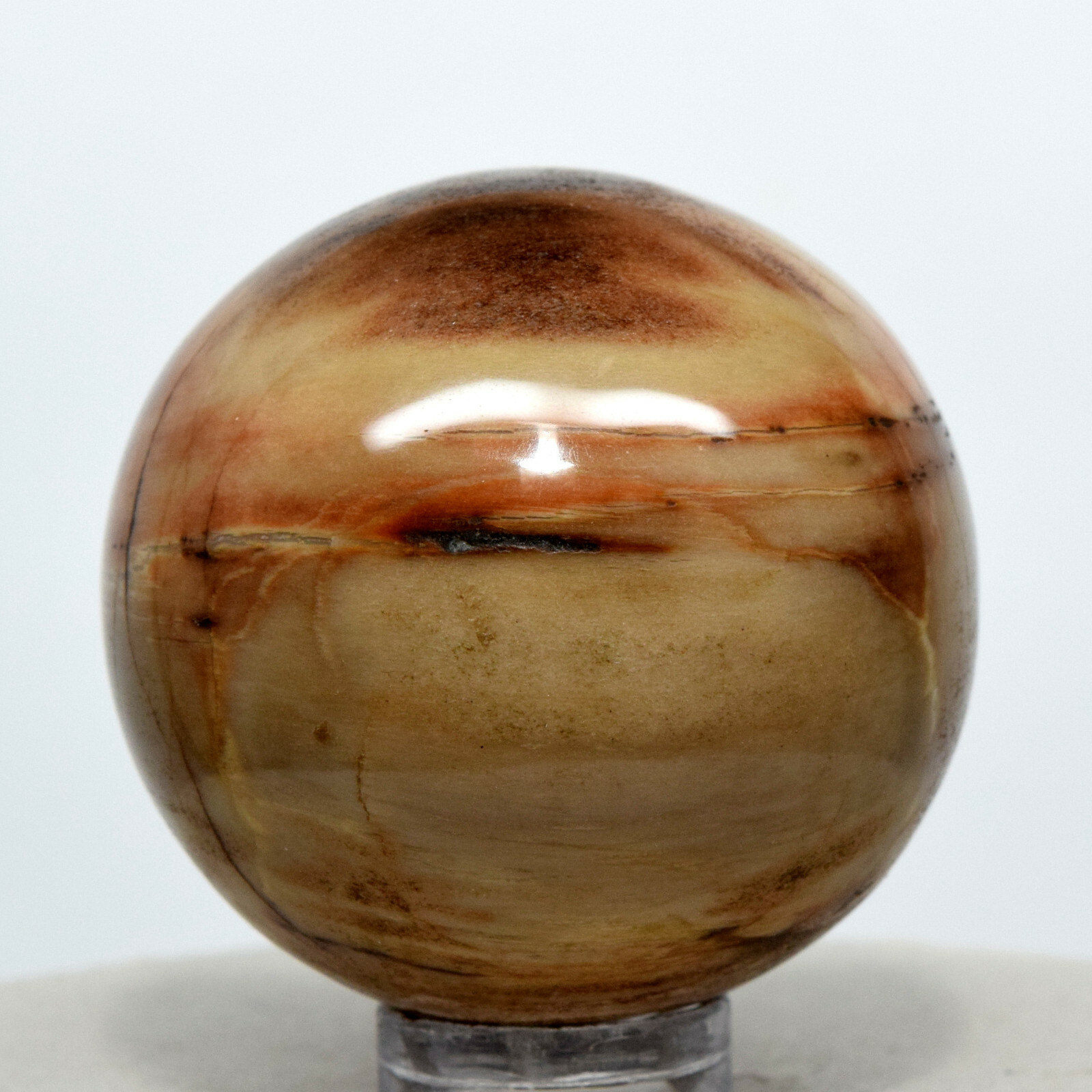 39mm Brown Orange Petrified Wood Sphere Natural Fossil Agate Mineral -Madagascar