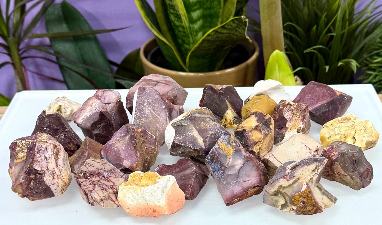 Wholesale Lot 2 Lbs Natural Mookaite Jasper Rough Crystal Healing Energy