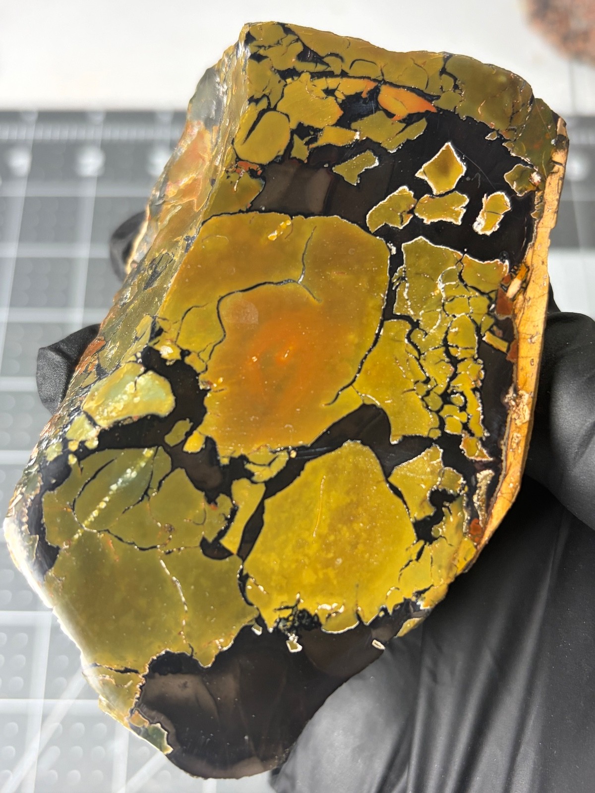 Beautiful Whiskey Creek Jasper Face Polished Specimen Brecciated Idaho