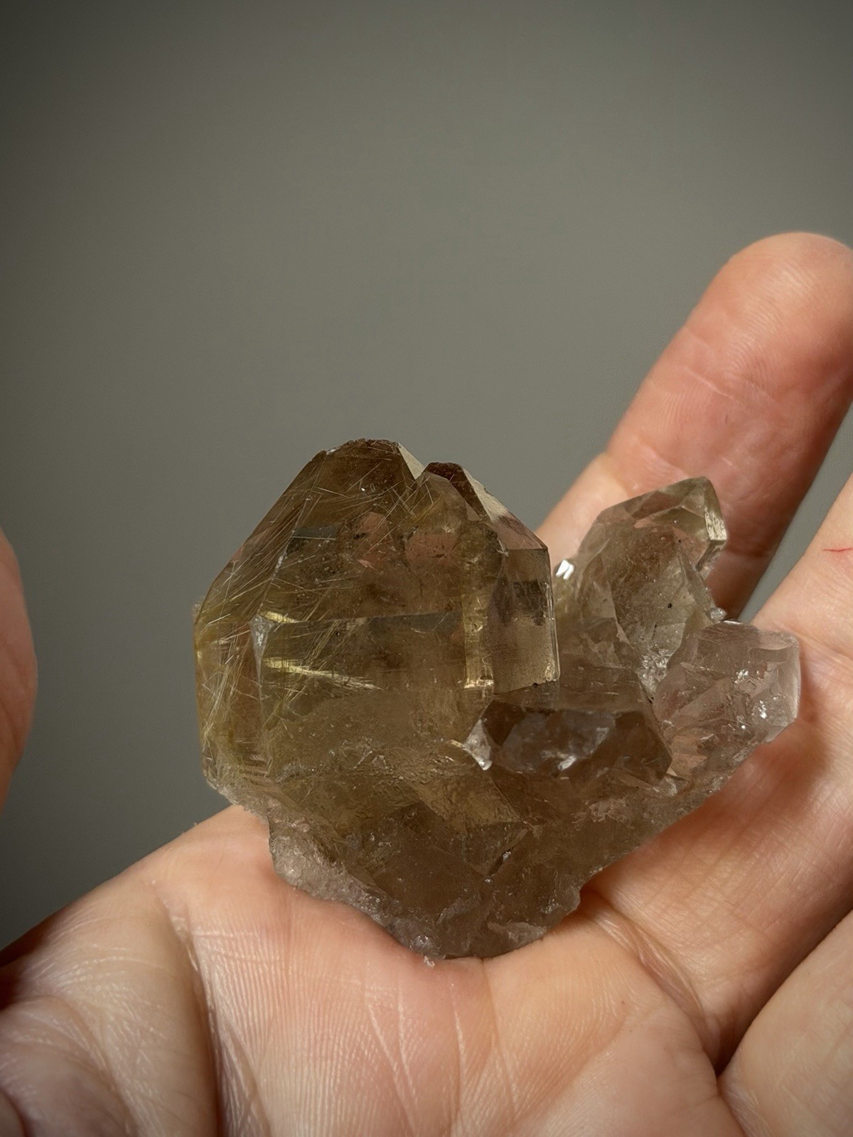 Rutilated Quartz Crystal Gold Rutile Inclusion Quartz Druzy Quartz Brazil