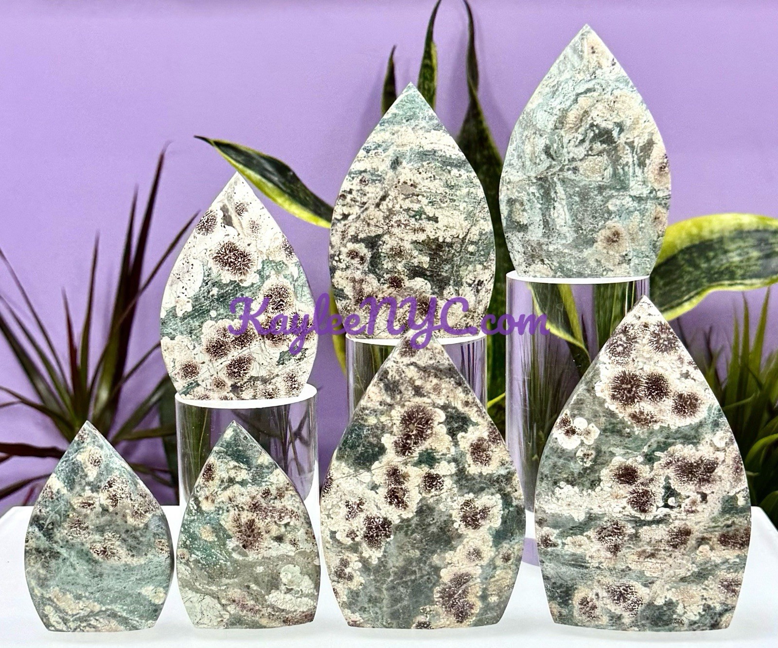 Wholesale Lot 6-7 PCs Natural Green Flower Jasper Freeform Crystal
