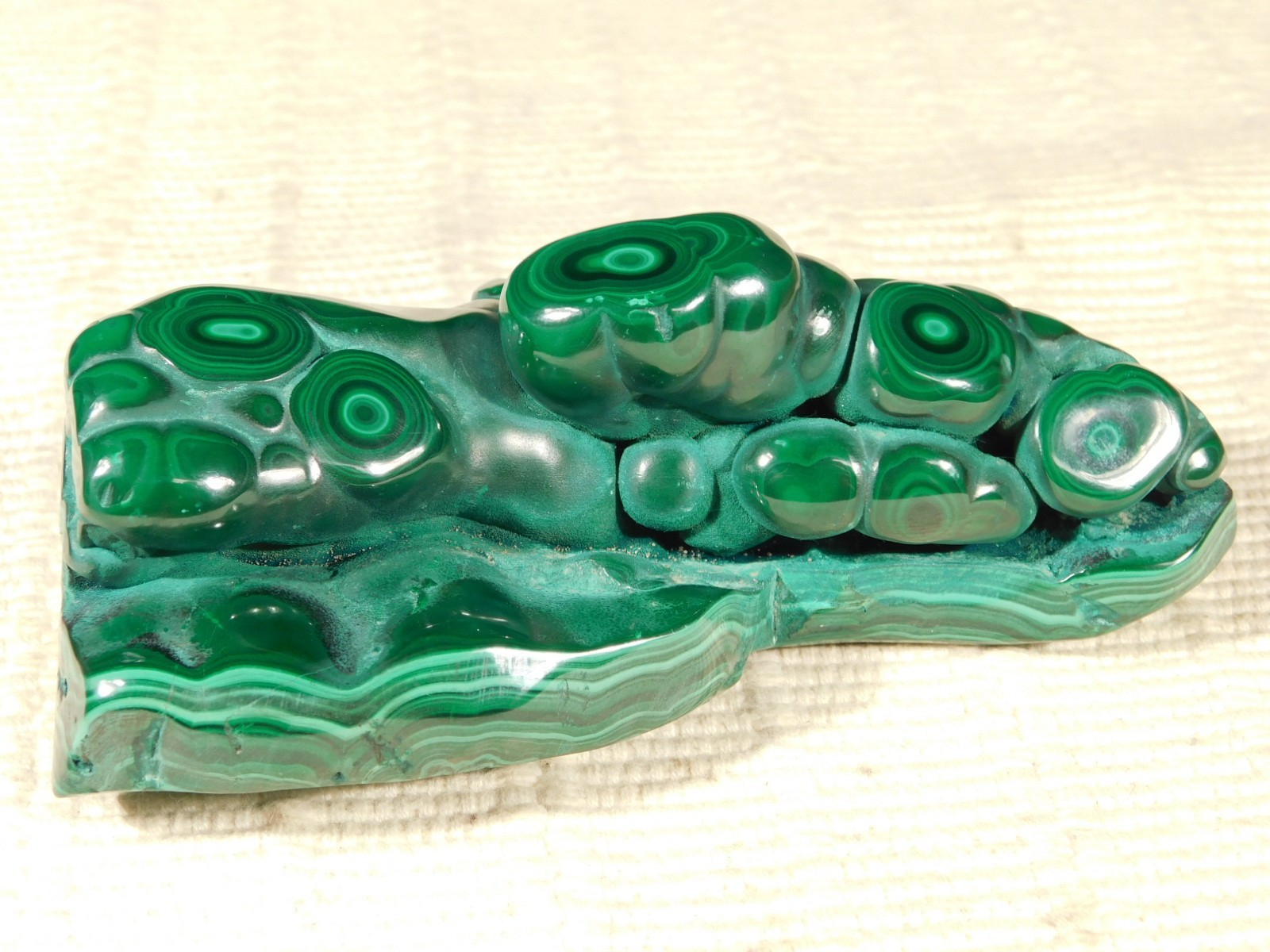 BIG! Polished Deep GREEN Malachite STALACTITE or Stalagmite From the Congo 393gr