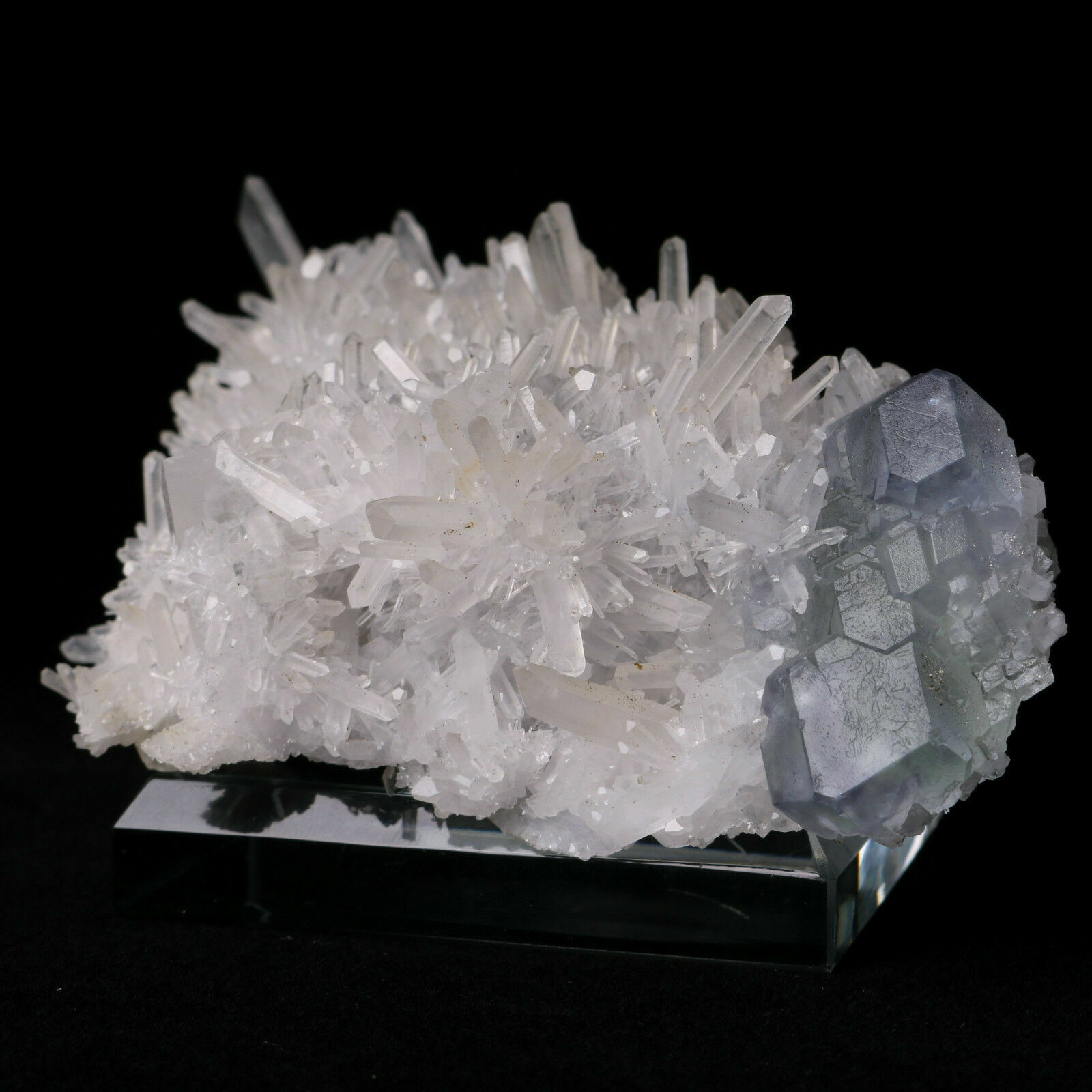 Natural Clear Blue Purple Fluorite Crystal Cluster Mineral Specimen 99g