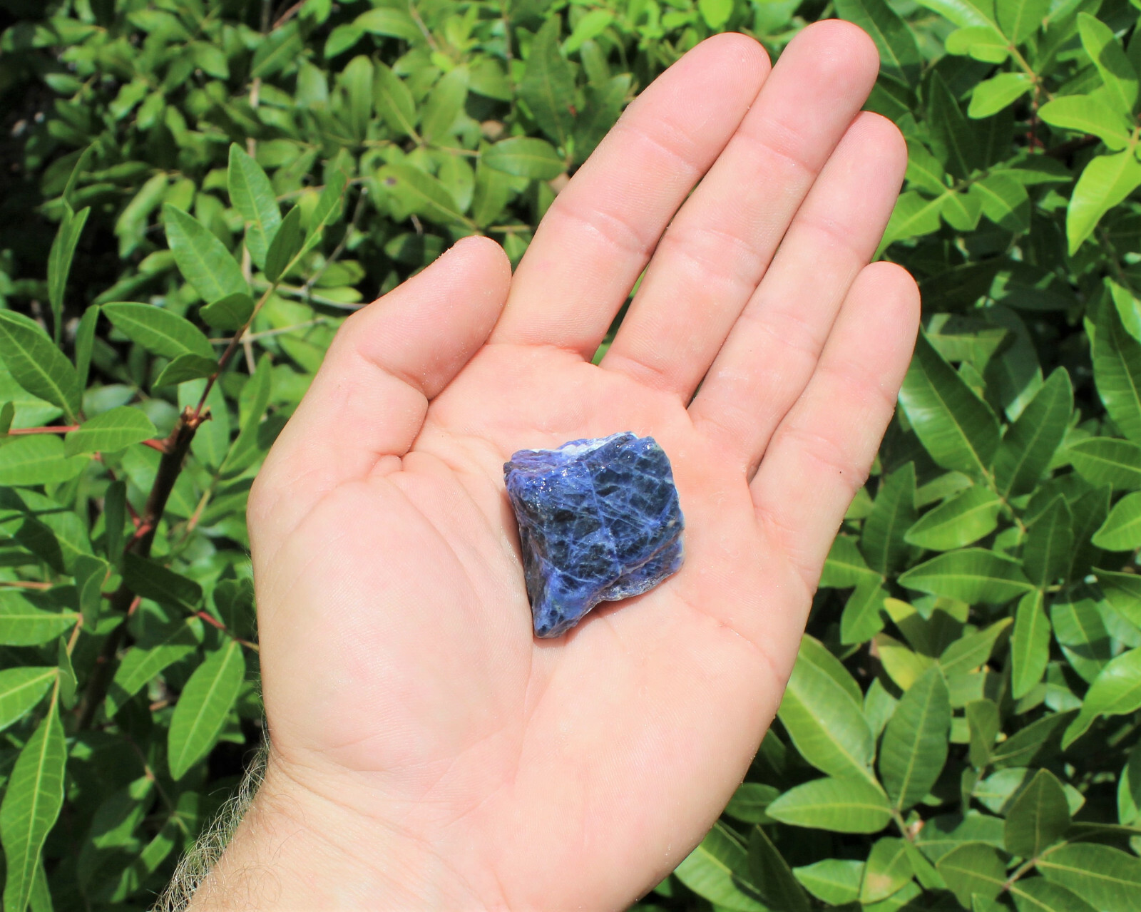 Mixed Rough Crystals: 9 Piece Starter Set, MEDIUM 1-1.5″