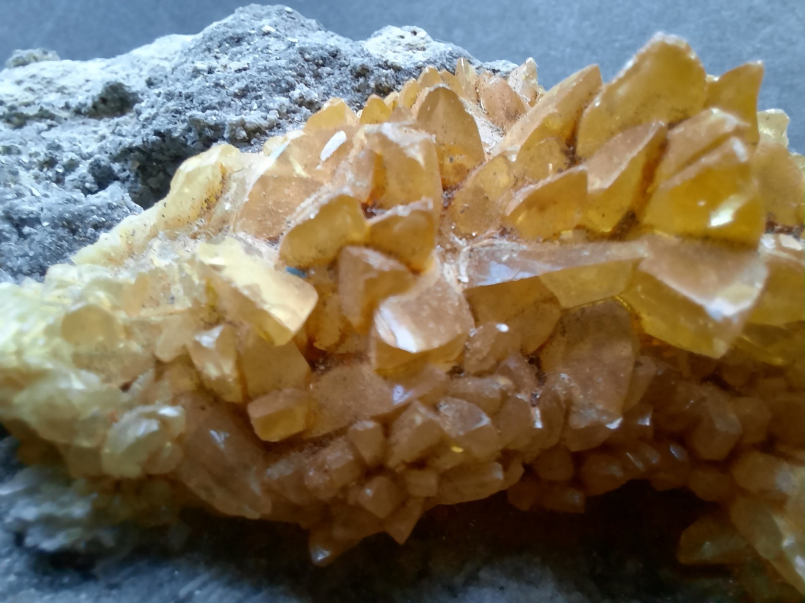 Golden Yellow Honey Calcite Crystals on Fossil Mangrove Clam Shell Rucks Pit