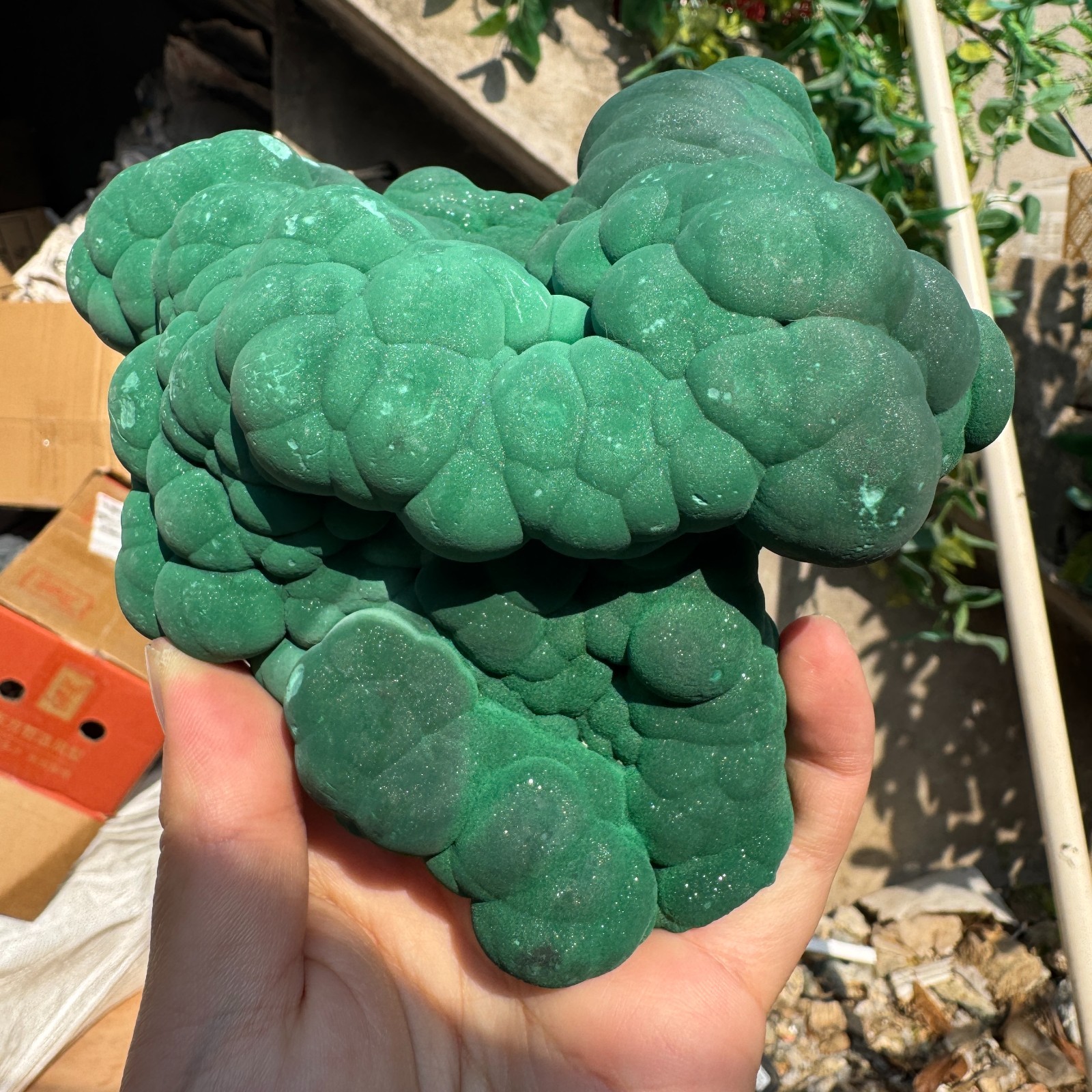 1180G Natural Malachite crystal quartz Mineral Specimen Reiki congo