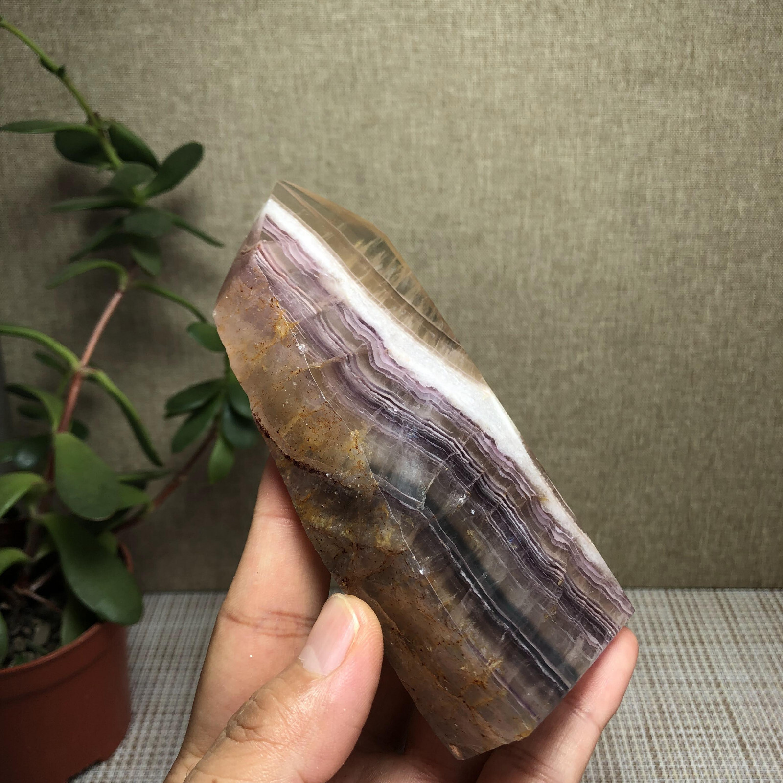 317g Natural candy Fluorite Polish/Rough wand Crystal free standing 120mm A2895