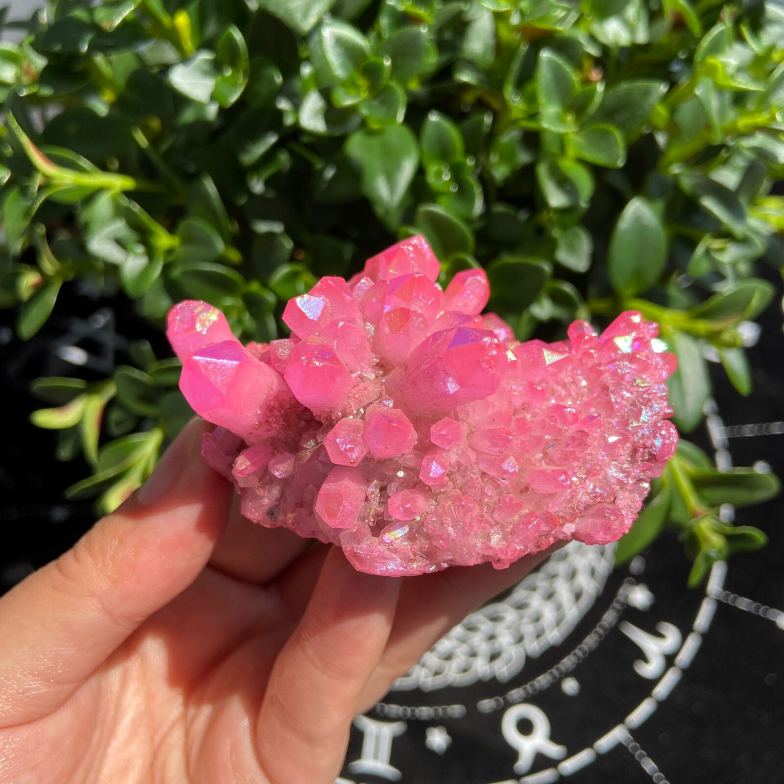 104g Titanium Angel Aura Quartz Pink Aura Cluster Positive Energy Stone Decor