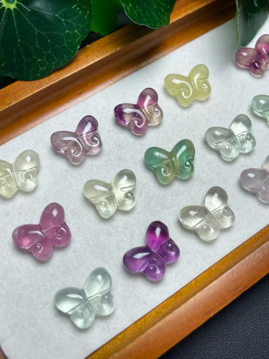 13*17mm Natural Flourite Butterfly quartz crystal Reiki healing Random 5pc