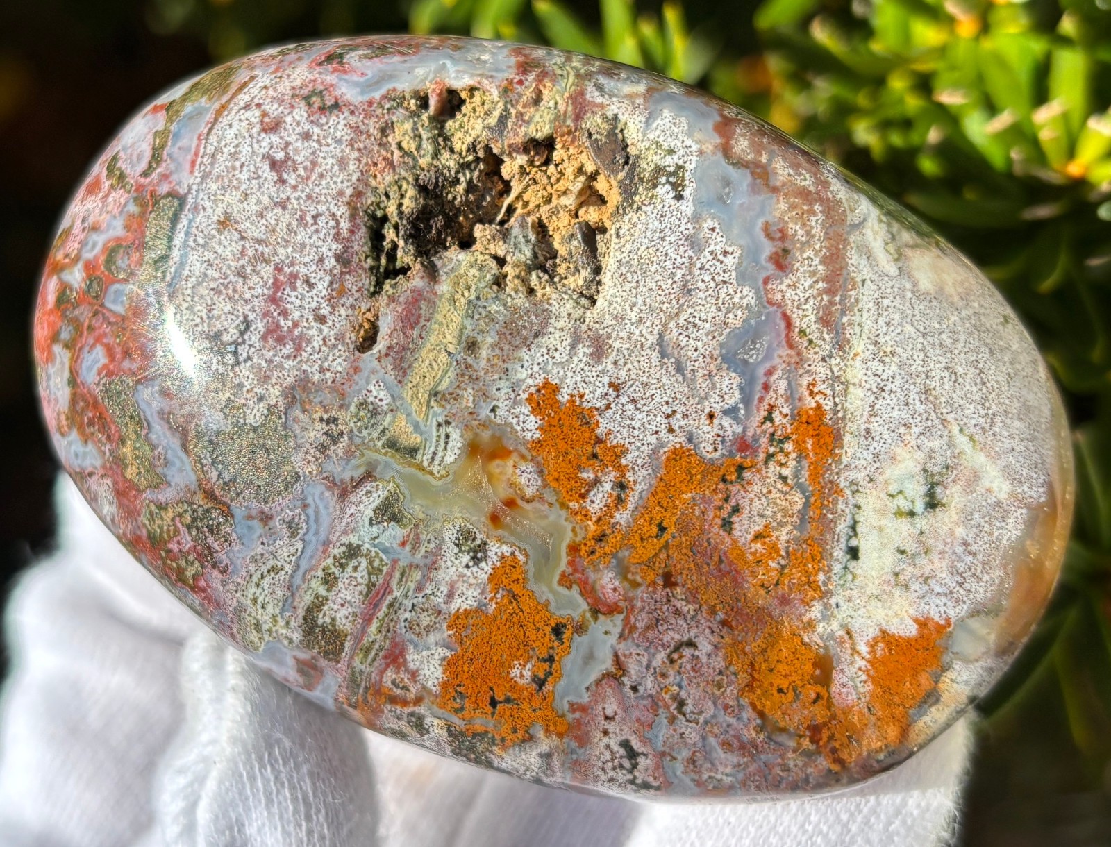 USA SALE 242g LOT OCEAN JASPER OJ PALMSTONES PALM STONES Palm Stone