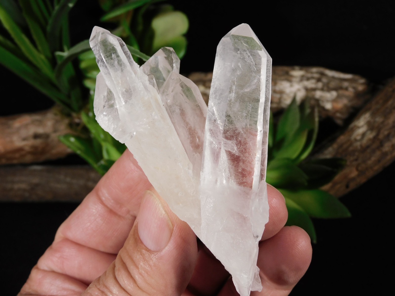 Four Points! Translucent! QUARTZ Crystal Cluster 100% Natural Brazil 70.1gr