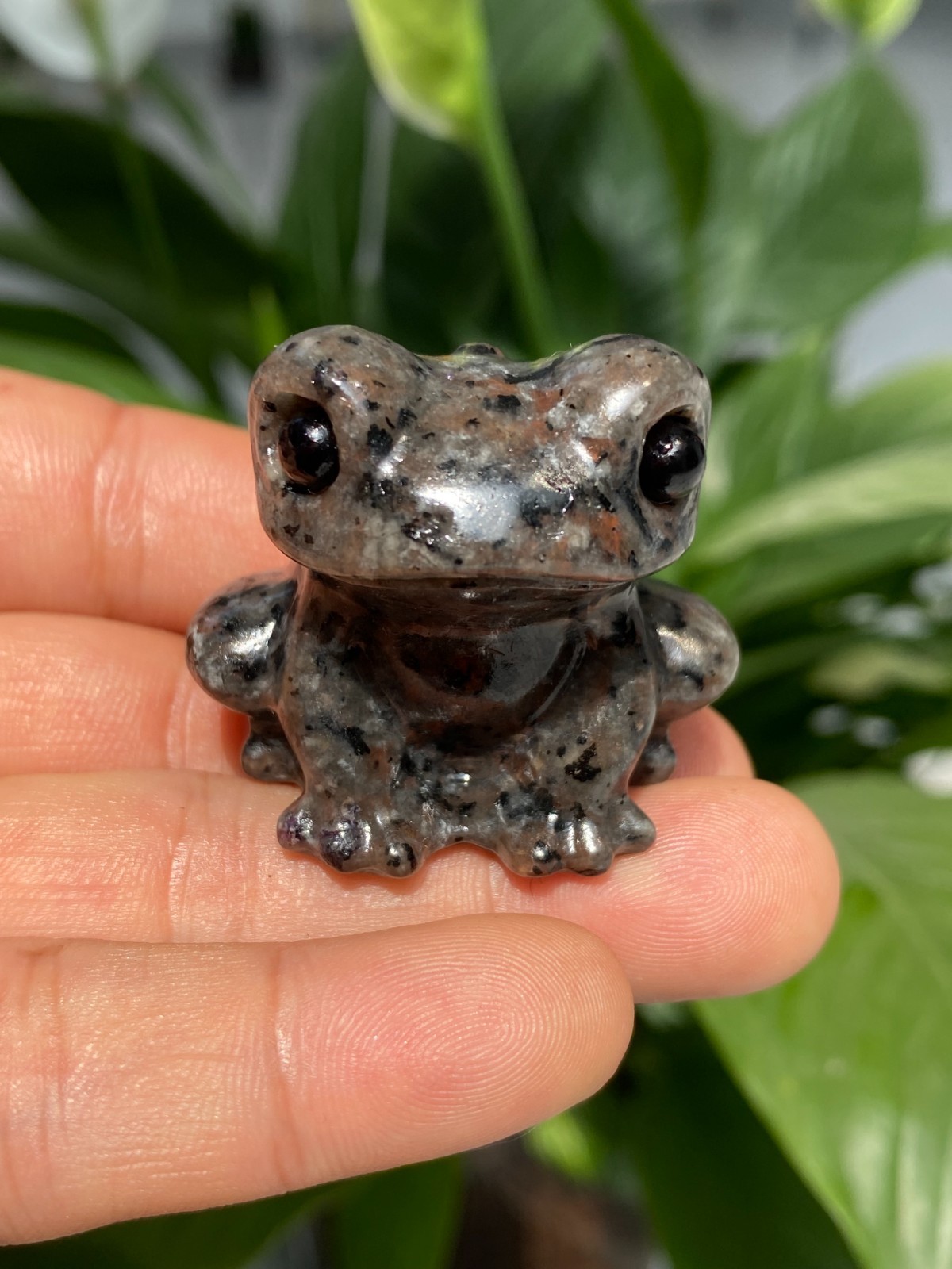 1pc Natural Yooperlite Quartz Carved Crystal Frog skull reiki healing gift Decor
