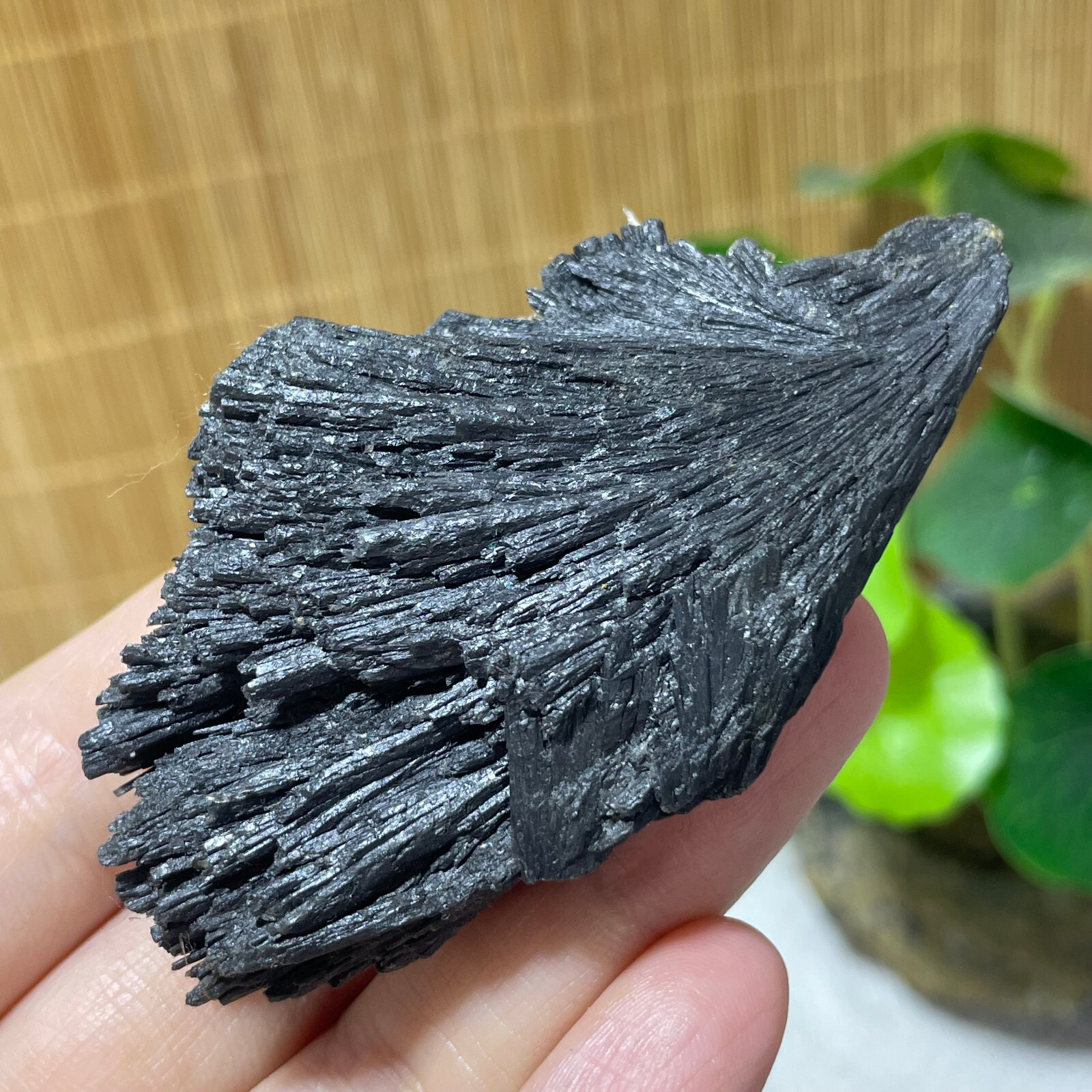 64g Natural Irregular natural black crystal cluster mineral specimen（dian qishi）