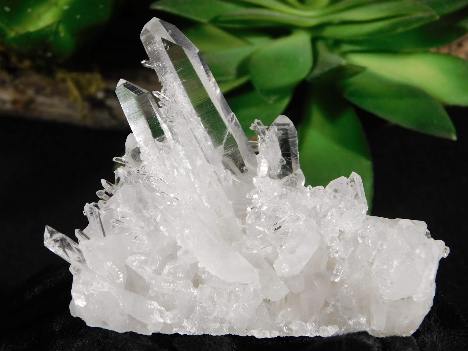 SUPER! TRANSLUCENT Quartz Crystal Cluster Collier Creek ARKANSAS 75.2gr