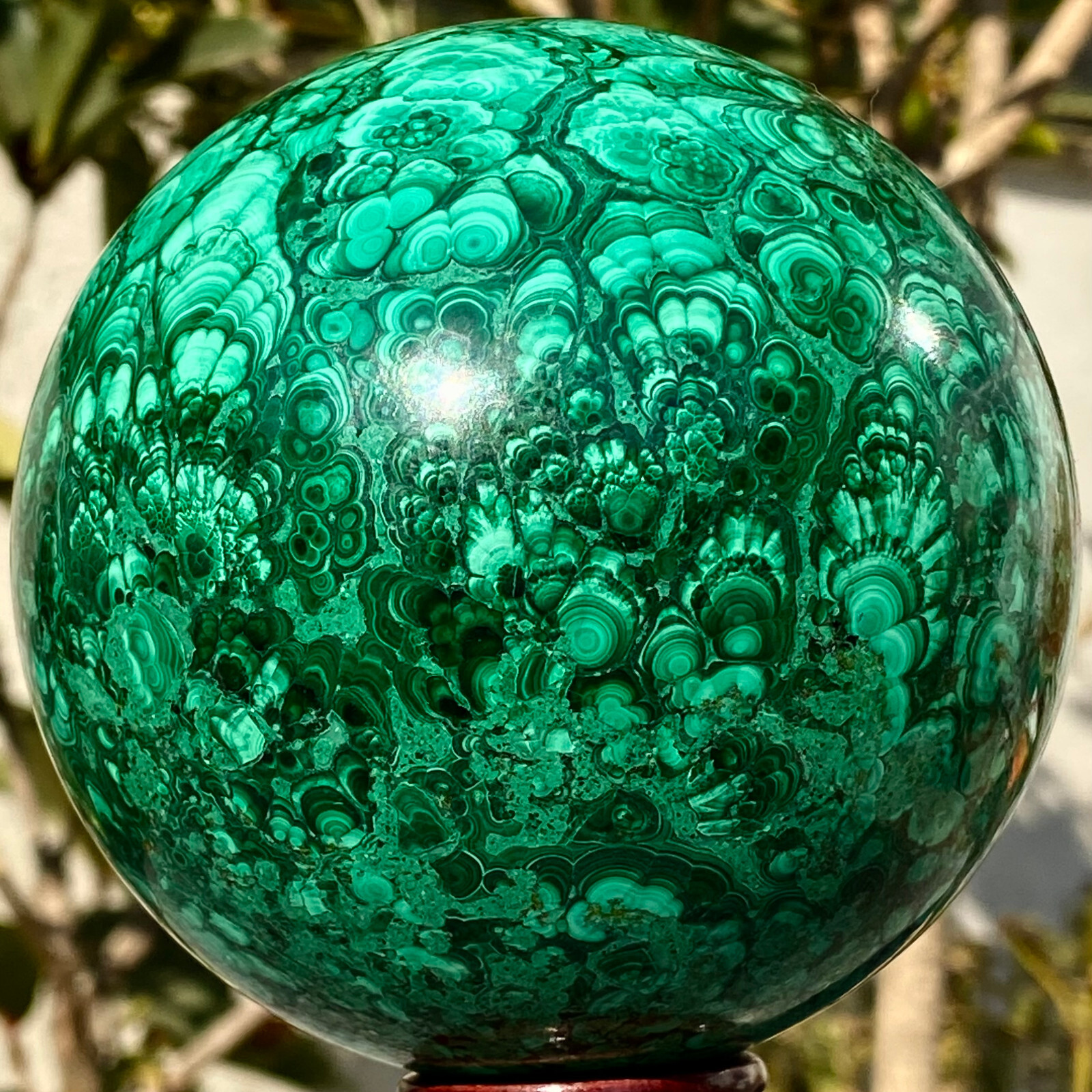 2.98LB Natural Gloss Peacock Stone Ball Transparent Cluster Rough Mineral Sample