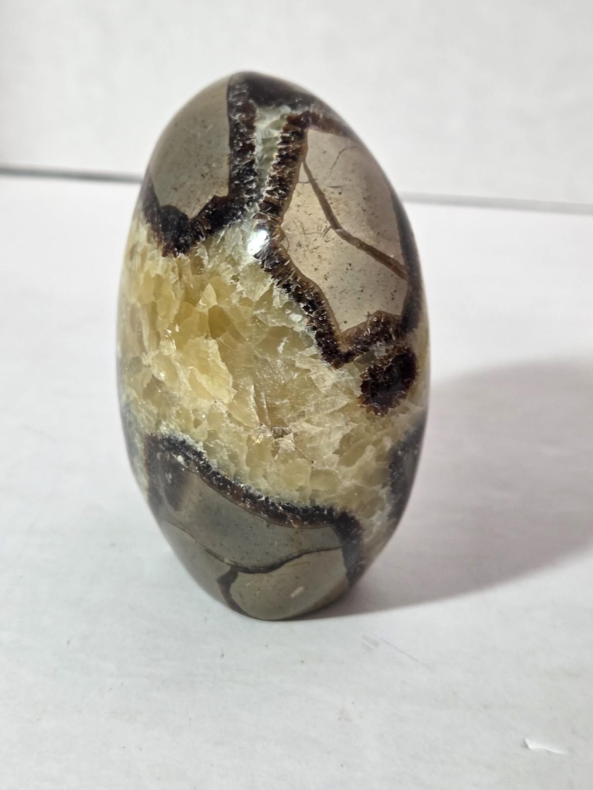 Septarian Polished Egg Prime Specimen Crystal Stone Mineral 8.61 Grams
