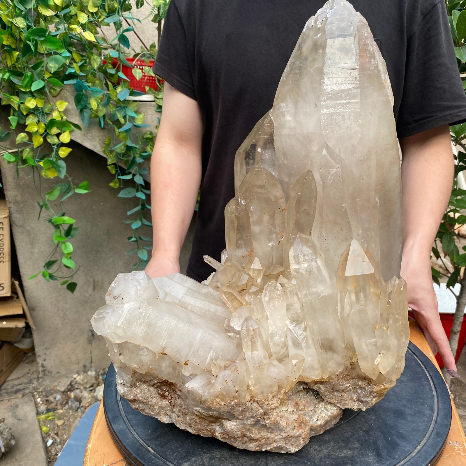 23900G A+Large Natural clear white Crystal Himalayan quartz cluster /mineralsls