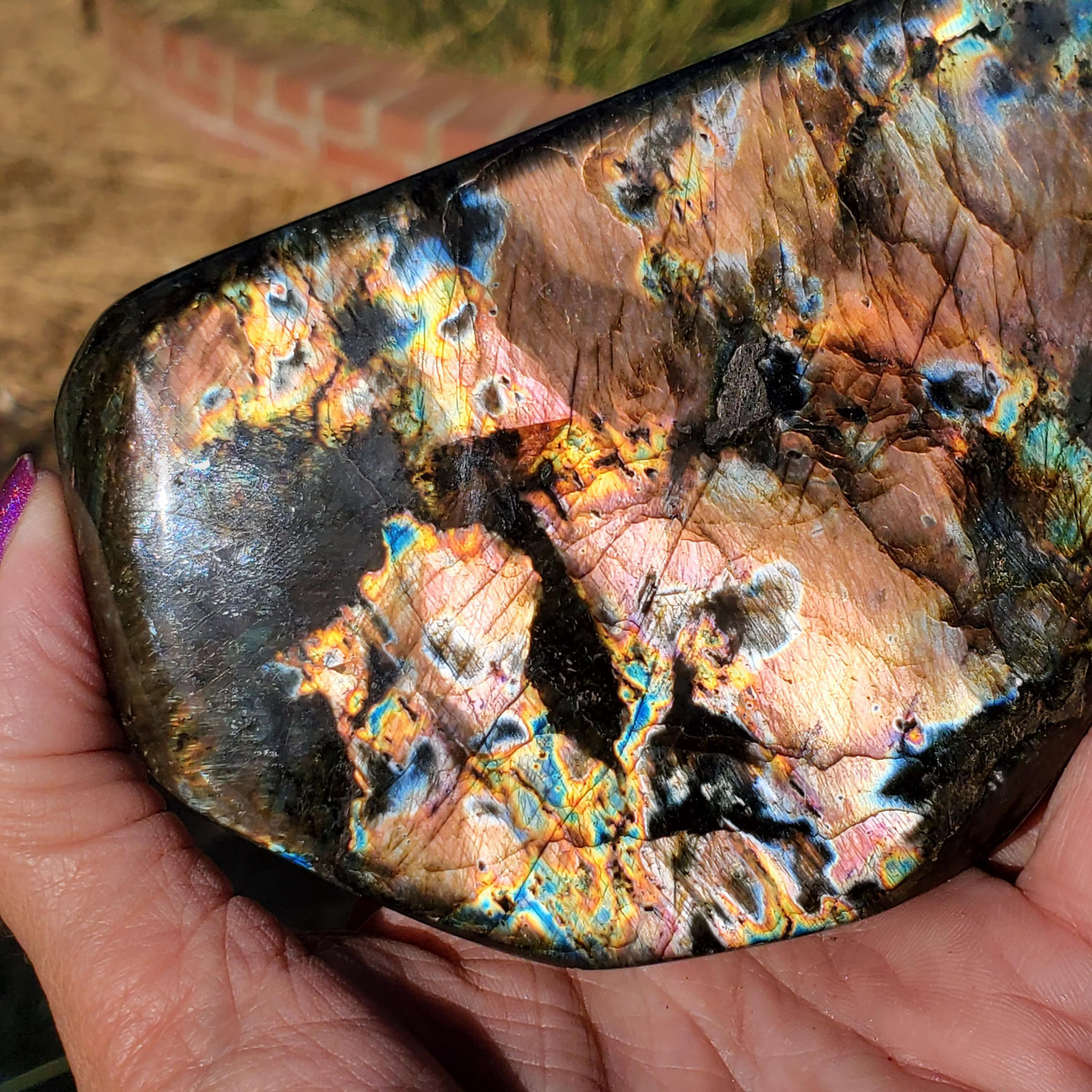 Labradorite Spectrolite “Stained Glass” Crystal Slab Freeform 700 grams