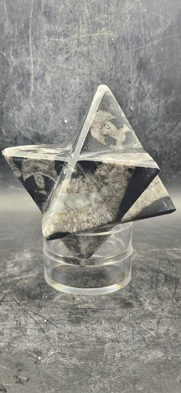 Orthoceras calcite fossil markaba, 10 ounces, 2.2 inches!