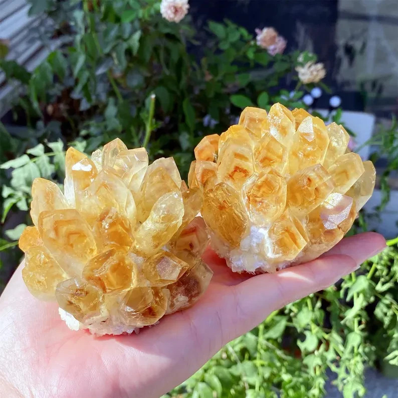 1pc Rare Citrine Quartz Cluster Healing Health Wealth Crystal Specimen Ornament