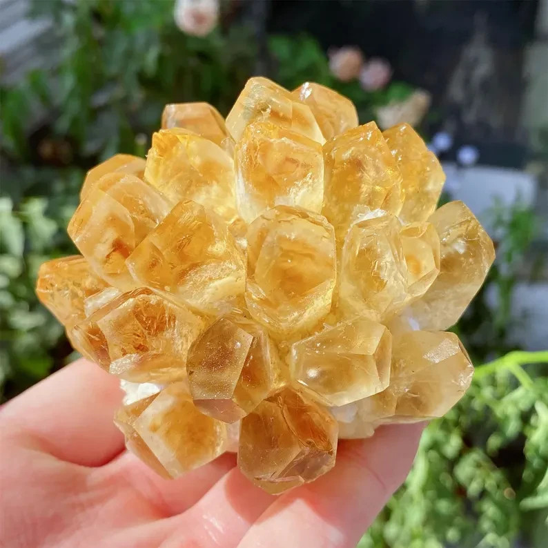 1pc Rare Citrine Quartz Cluster Healing Health Wealth Crystal Specimen Ornament