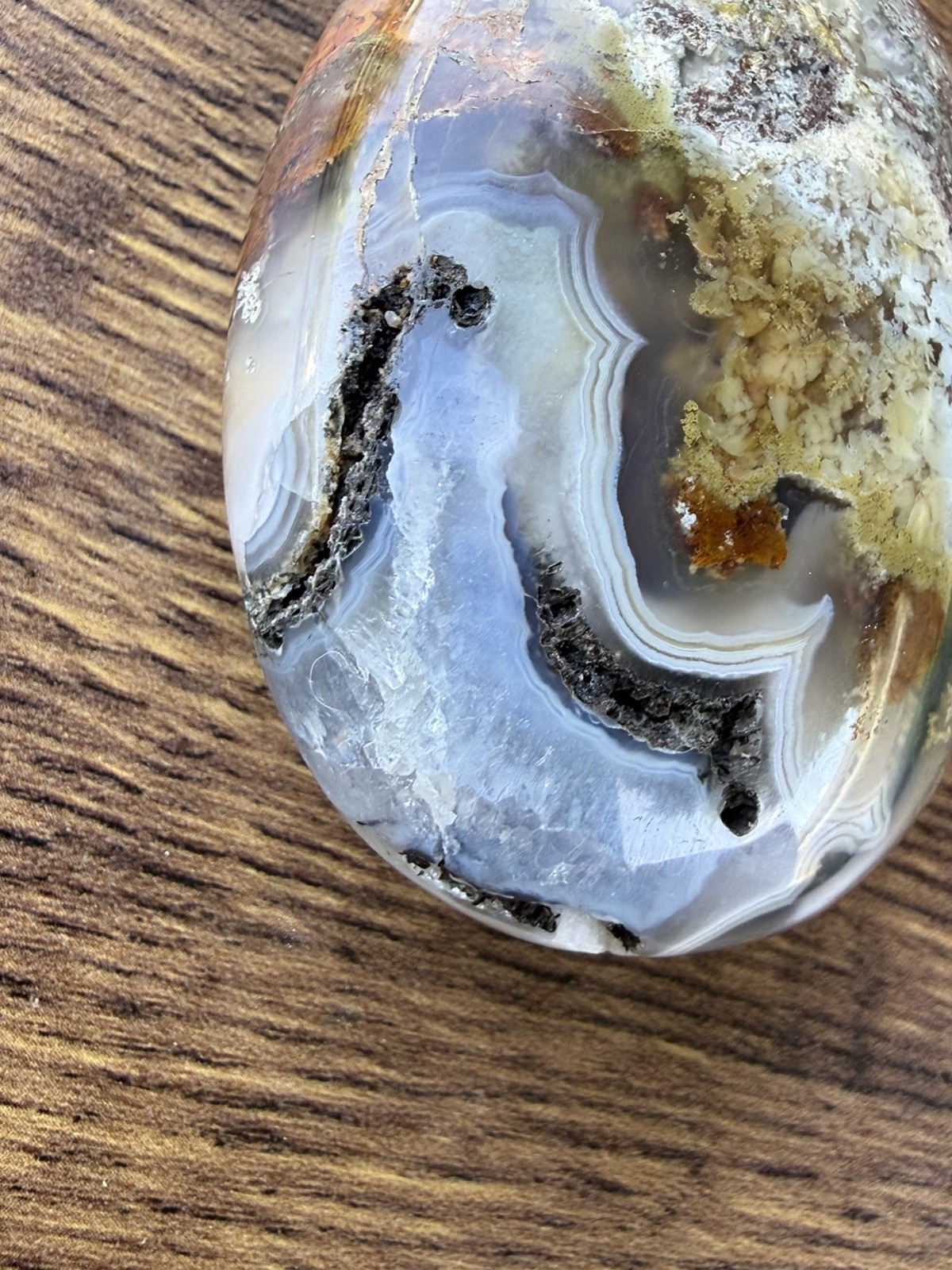 Authentic Scenic Moss Agate Crystal Palm Stone From Indonesia,Collector, gift