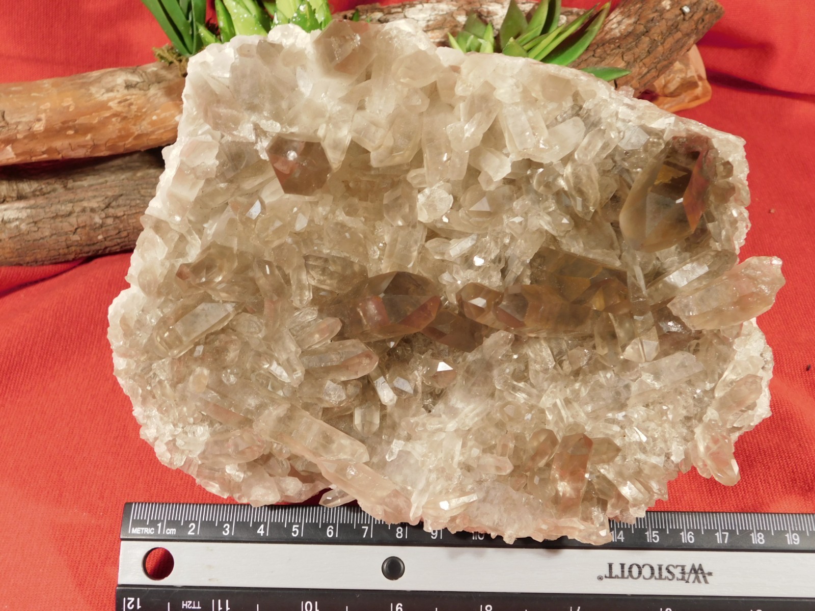 BIG! AAA SMOKY Quartz Crystal Cluster with Stand Brazil 1868gr