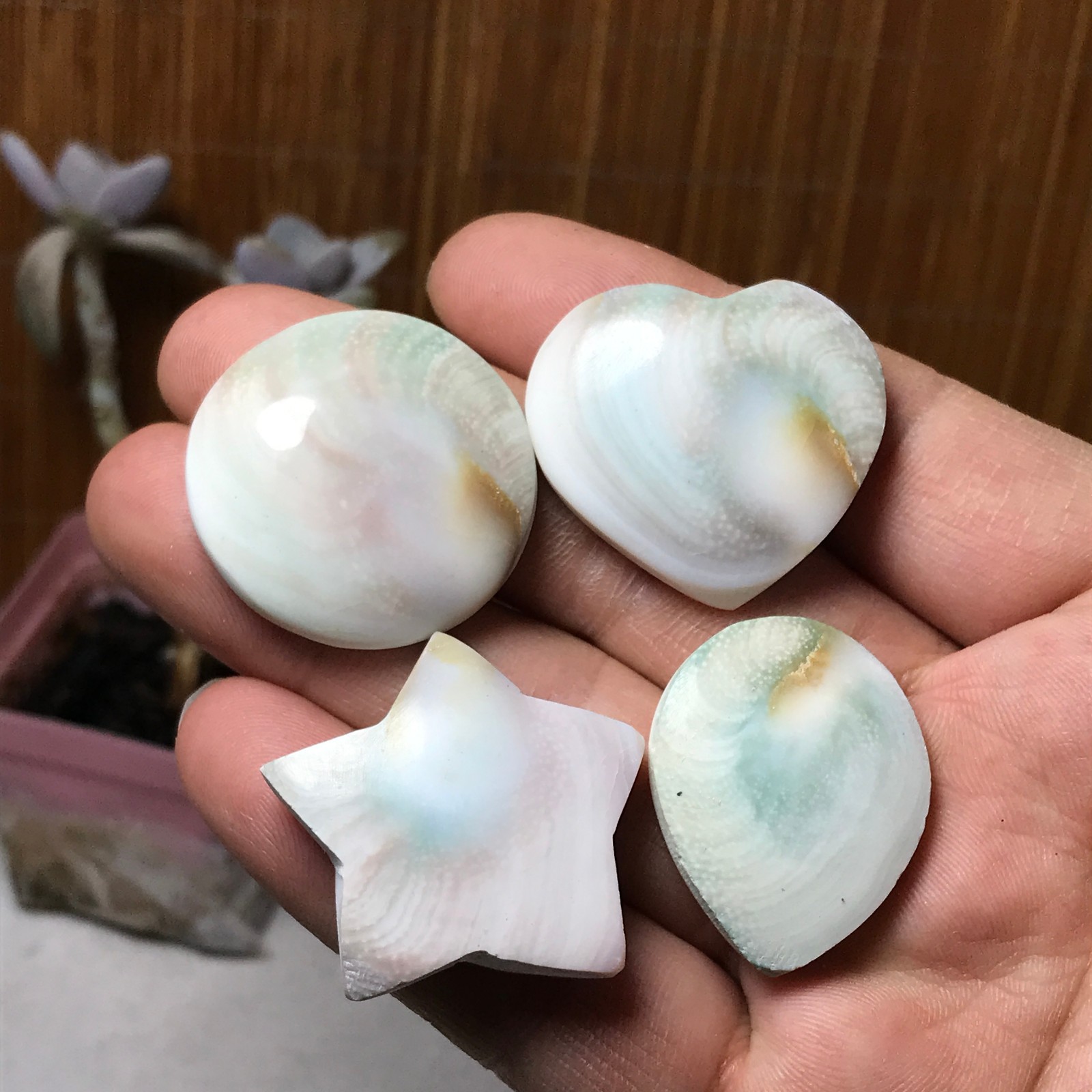 4Pcs Natural sun shell star Heart Reiki Shiva Eye ocean quartz carve A3334