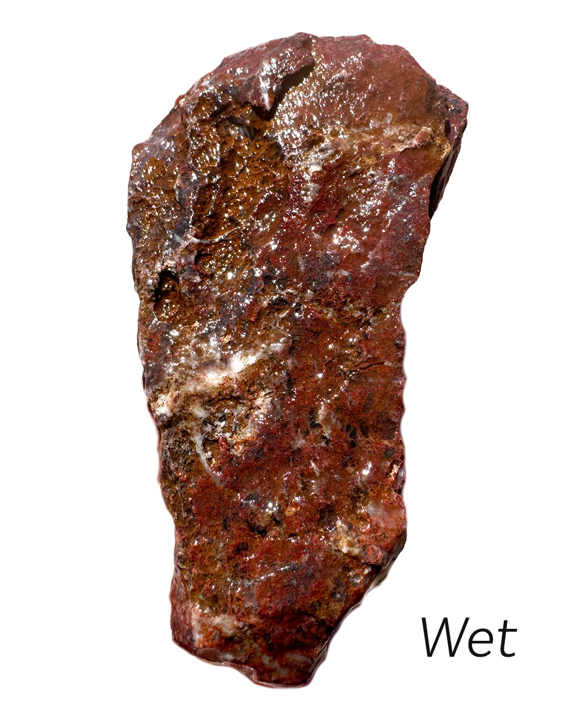 12 oz Rough Red Jasper with Hematite & Quartz Vivid Color from Arizona