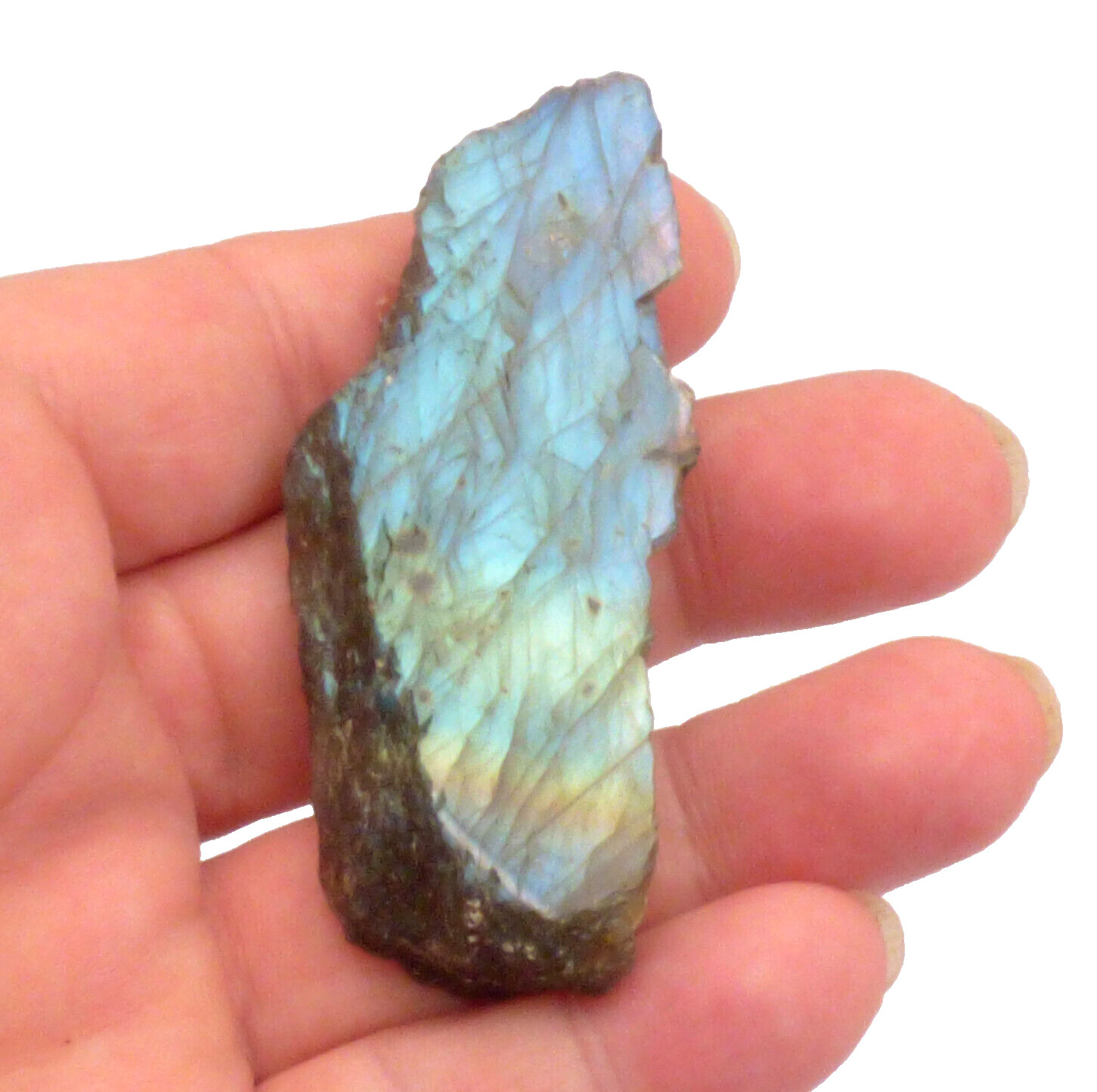 Labradorite Slice Blue Green Flash Iridescent Lustre Semi Polished Piece 7cm