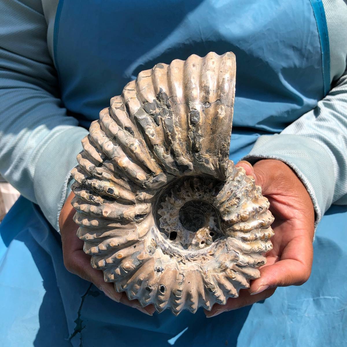 3.74LB Natural Beautiful Ammonite Fossil Conch Crystal Specimen Healing 5389