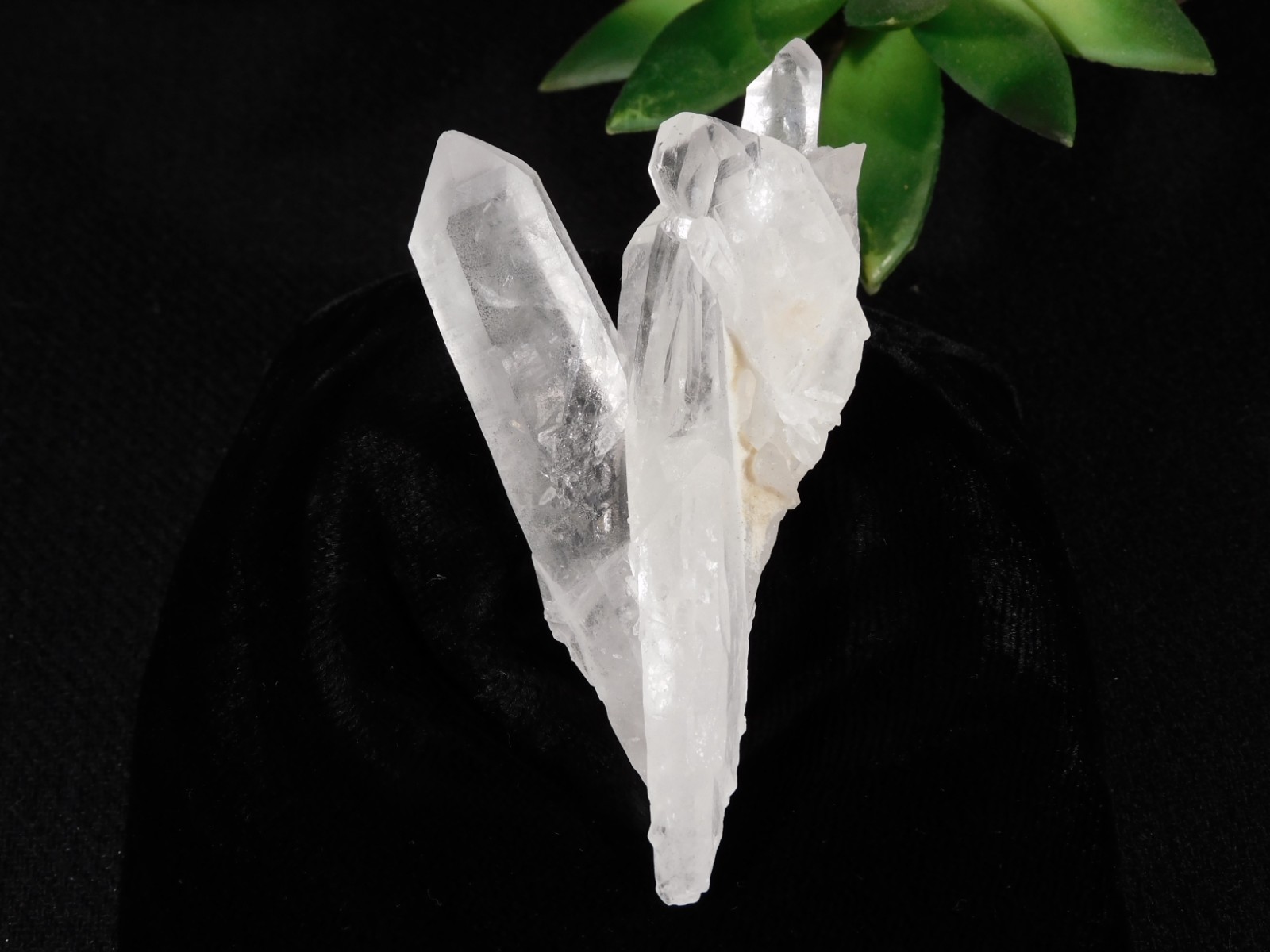 Four Points! Translucent! QUARTZ Crystal Cluster 100% Natural Brazil 70.1gr