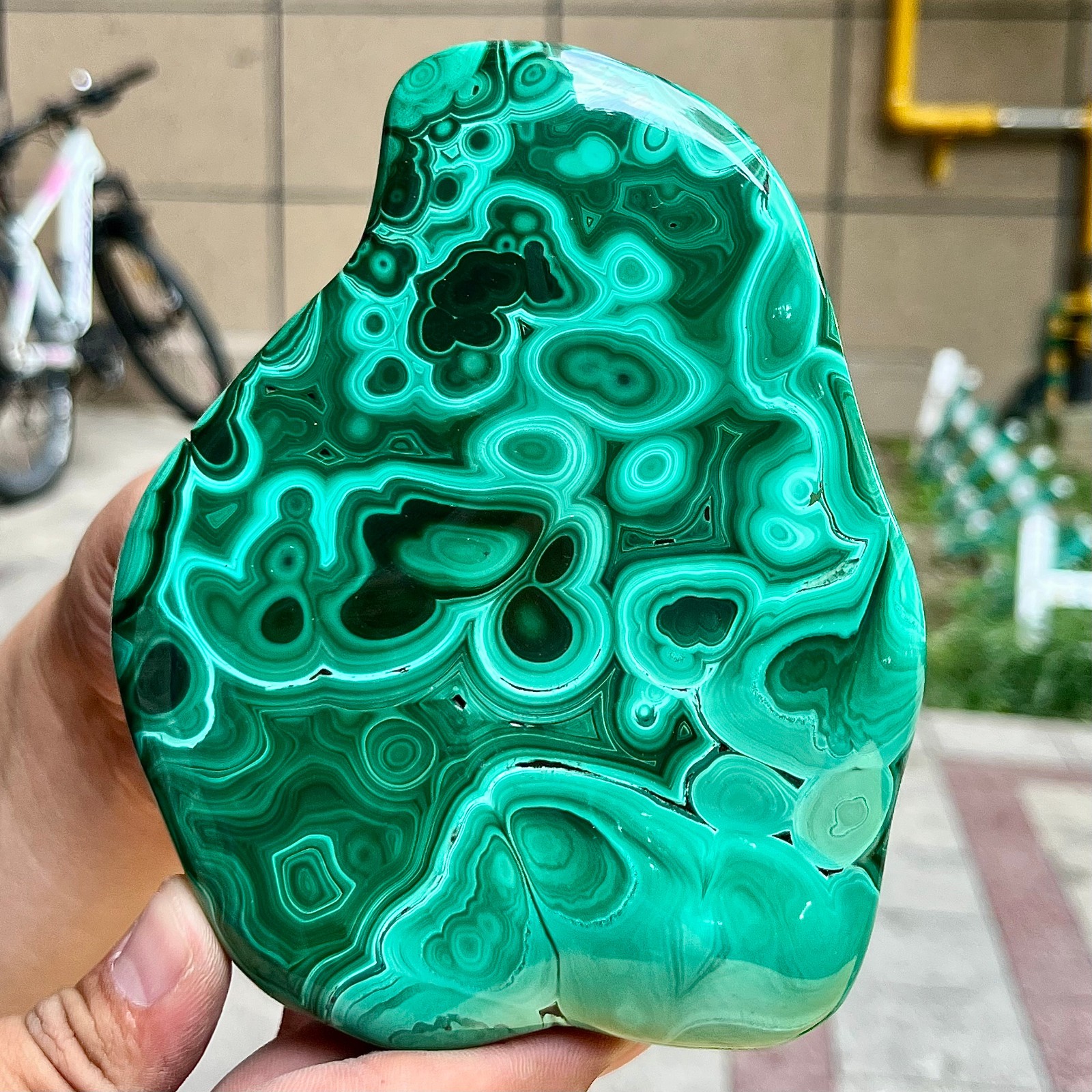 2.2 lb Malachite Quartz Freeform One Side Polished Natural Crystal Specimen