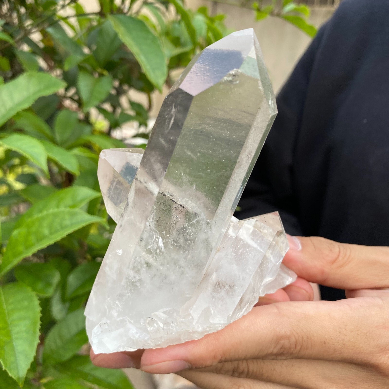 0.7lb Natural Clear White quart Crystal Cluster Raw Healing Specimen