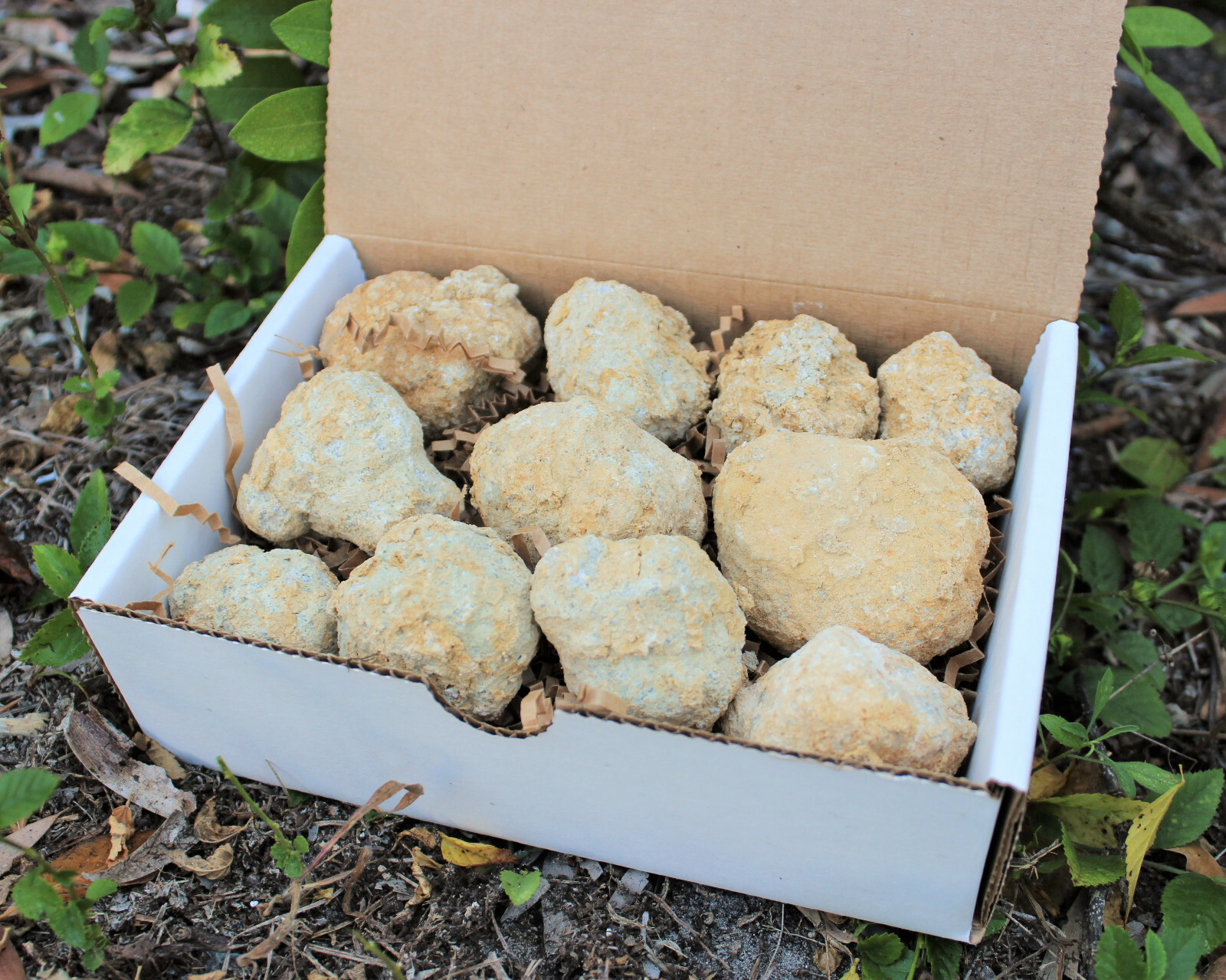 Break Your Own Geodes Gift Box (8 – 12 pcs) Large Unopened Moroccan Crystals